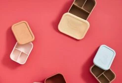 Boîte à Déjeuner Bleu -Cuisine À La Maison 6350c81077d345458200a6819e270e62