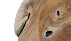 HSM Collection Coupe MY De Fruit My -Cuisine À La Maison 8bcf35eed8da4a28b83df865ce0ea370