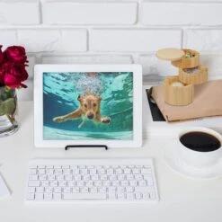 Rangement épices 3 Compartiments Bambou -Cuisine À La Maison 8d1a13c6f5874e78b1be6334bfa0f0d0