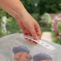 Boîte à Gâteau Rectangulaire -Cuisine À La Maison ab101c13110e42d4a1dd5508fbfe6f43