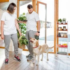 Étagère De Cuisine 5 Niveaux 19 Étagère De Cuisine 5 Niveaux -Cuisine À La Maison e346f1946a0e4f77a685c3591ae0e949