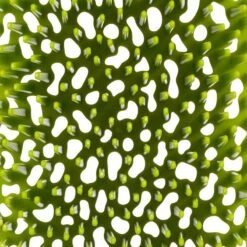 Sèche-biberons 14 Sèche-biberons -Cuisine À La Maison e8fd304b0bac447984f383e9ef4f8888